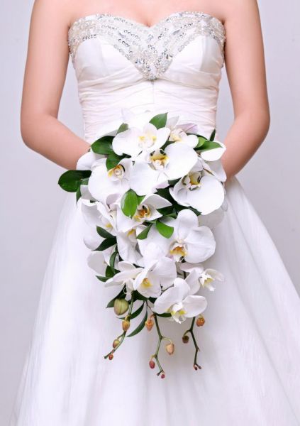 Ngập tràn hương sắc hoa lan ngày cưới